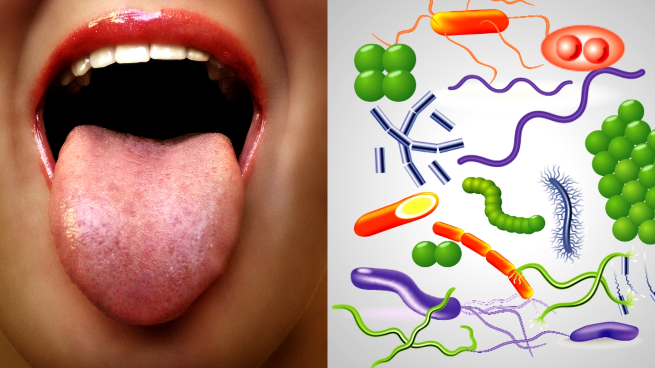 6 TheraBreath+Formulated+Artificial+Certified+Two+Pack