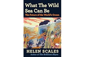 What the Wild Sea Can Be: The Future of the World's Ocean