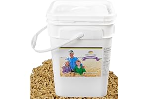 Hard White Wheat Berries : Wheatland™ : 25 lb Bulk: Emergency Preparedness : Mylar : Oxygen Absorber : 30 Year Shelf Life : Non GMO: NO Glyphosate : Long Term Food Storage
