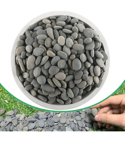 Amazon.com: CNZ Natural Polished Pebble Stone, Mixed Color