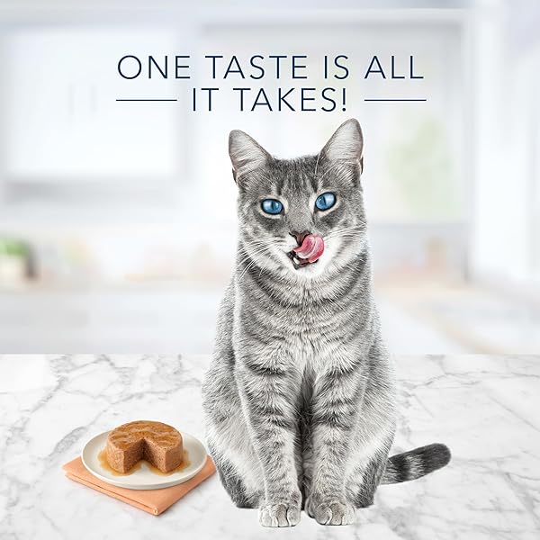 BLUE BUFFALO TASTEFULS NATURAL PATE WET CAT FOOD VARIETY PACK, SALMON, CHICKEN, OCEAN FISH & TUNA ENTRÉES 3-OZ CANS (12 COUNT – 4 OF EACH FLAVOR)