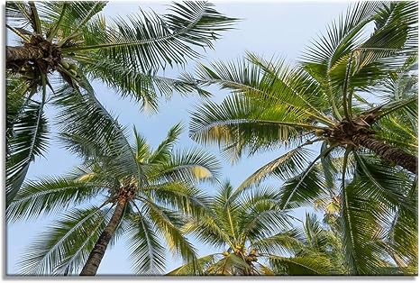 Amazon Co Jp Arter 壁飾り アート パネル インテリア絵画 ポスター ヤシの木 風景 ホーム キッチン