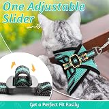 rabbitgoo Cat Harness and Leash Set Escape Proof Adjustable Vest Green Large view 7