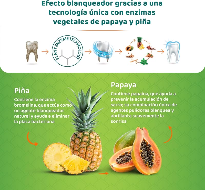 Pasta de Dentes Removível (1 MACOTE)