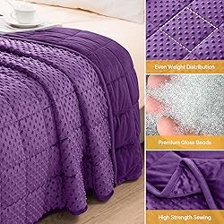 Wemore Minky Dot Weighted Blanket for Adults Queen