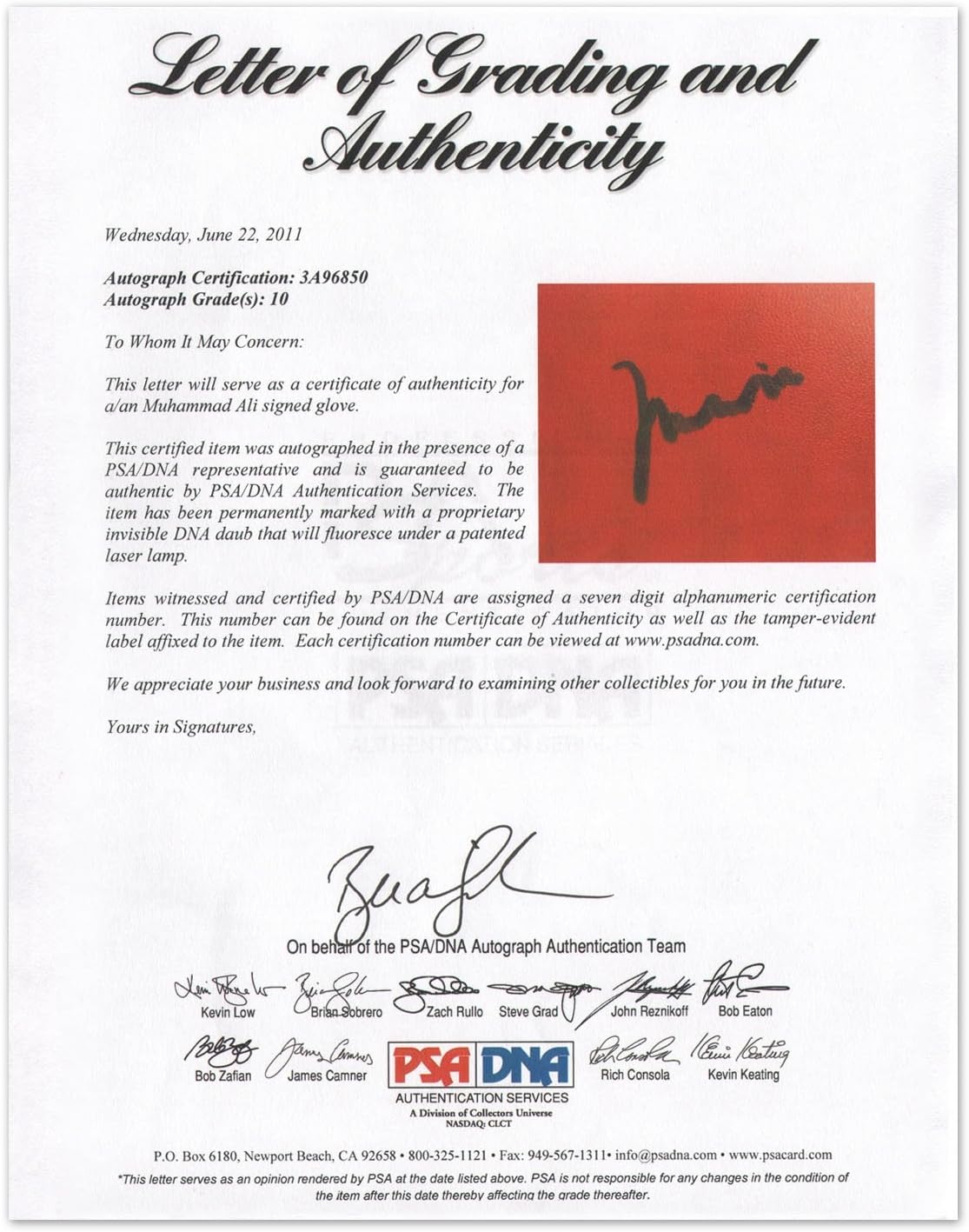 Muhammad Ali Firmado Guante de Boxeo (PSA ADN 4A54131): Amazon.es ...