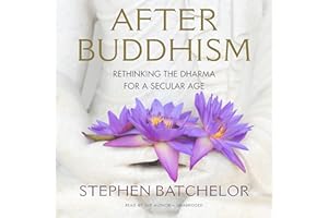 After Buddhism: Rethinking the Dharma for a Secular Age