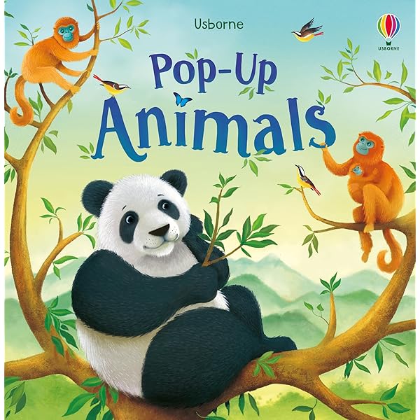 Pop-Up Garden: Watt, Fiona: 9781409590347: Amazon.com: Books