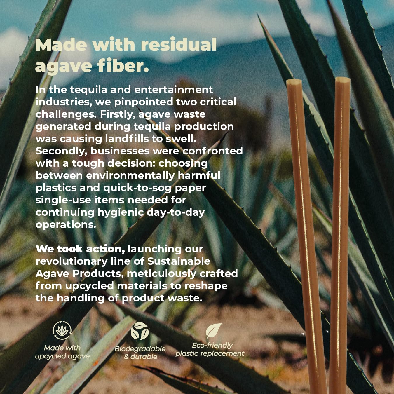 Sustainable Agave Co - Agave Fiber Unwrapped Drinking Straws - 100 Count - Biodegradable, Plant-Based, Made With Upcycled Materials, Reusable - Brown, Regular, 8" - Image 4