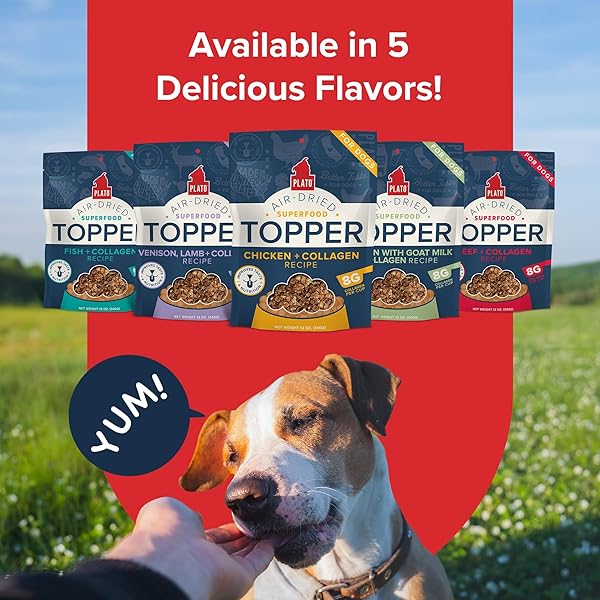 PLATO PET TREATS DOG FOOD TOPPERS – AIR-DRIED DOG FOOD TOPPERS FOR DRY FOOD – WITH COLLAGEN TO SUPPORT SKIN AND COAT HEALTH – CHICKEN AND COLLAGEN RECIPE 12OZ