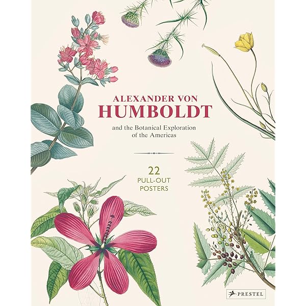Amazon.com: Essay on the Geography of Plants: 9780226054735: von Humboldt,  Alexander, Bonpland, Aim, Jackson, Stephen T., Romanowski, Sylvie,  Jackson, Stephen T.: Books