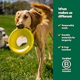 Earth Rated Flying Disc Dog Toy Small Yellow 7.2 inch TPE Floats Water view 7