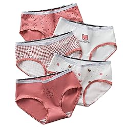 SINMIUANIME Women's Panties Anime Print Underwear
