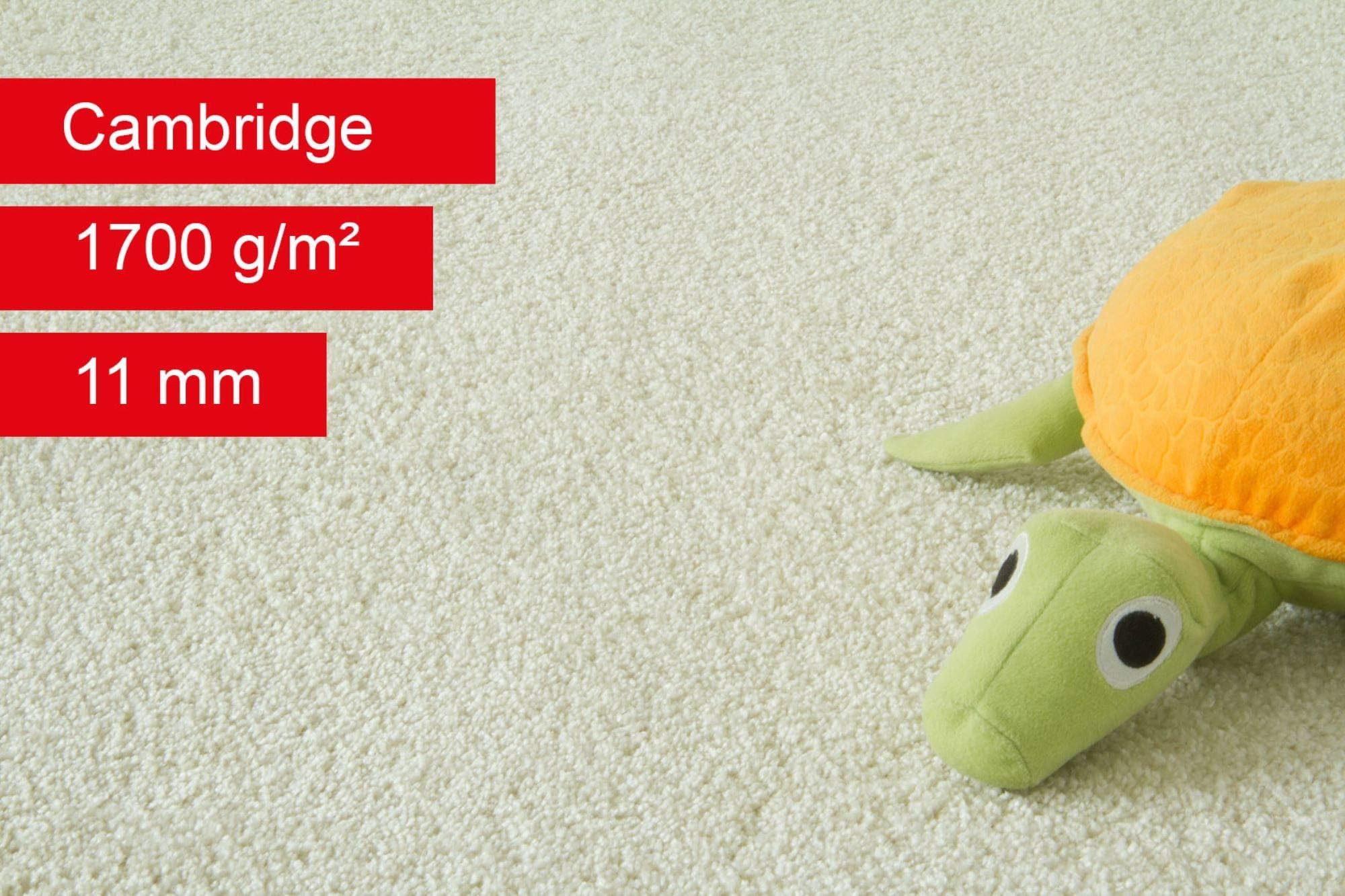 Carpet Rug Cambridge | Carpeting Flooring | Living Room Bedroom Kids Room | in Beige, Size: 200x300 cm (6'6"x9'9")