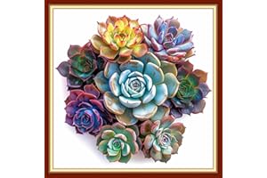 Dimensean Stamped Cross Stitch Kits Full Range of Embroidery Patterns Starter Kits for Beginners Adult DIY Cross Stitches Nee