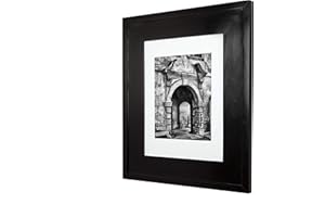 Fox Hollow Furnishings 13x16 Concealed Picture Frame Medicine Cabinet Without Mirror for Bathroom, Recessed in The Wall, Made in North America, Real Wood, NO MDF, Adjustable Shelves, Hidden, Black