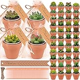 54 Pcs Succulent Cactus Candles Set, Mini Tealight Candles Baby Showers Cactus Plant Decorations with Mini Terracotta Clay Candle Holders for Wedding Birthday Anniversary Celebration Wedding Party