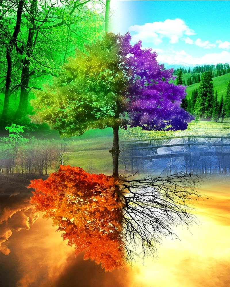 Blxecky 5D DIY Diamond Painting ,By Number Kits Crafts & Sewing Cross Stitch，Wall stickers for living room decoration,Four seasons tree(14X18inch/35X45CM)