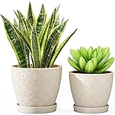 Docrin Ceramic Plant Pots Indoor, 6.6 + 5.5 Inch Planters with Drainage Holes and Saucer for Home/Office - Set of 2 /White