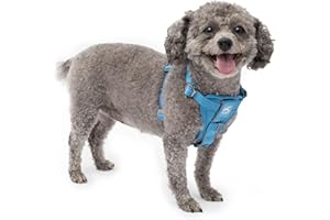 Kurgo Tru-Fit Smart Harness, Dog Harness, Pet Walking Harness, Quick Release Buckles, Front D-Ring for No Pull Training, Includes Dog Seat Belt Tether (Blue, Small)
