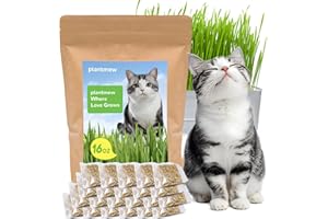PLANTMEW Cat Grass Seeds for Indoor Cats - Quick & Easy to Grow, Ready to Eat in 7 Days, Promotes Digestion & Reduces Hairballs, 100% Non-GMO Heirloom 1 Pound Wheat Seeds