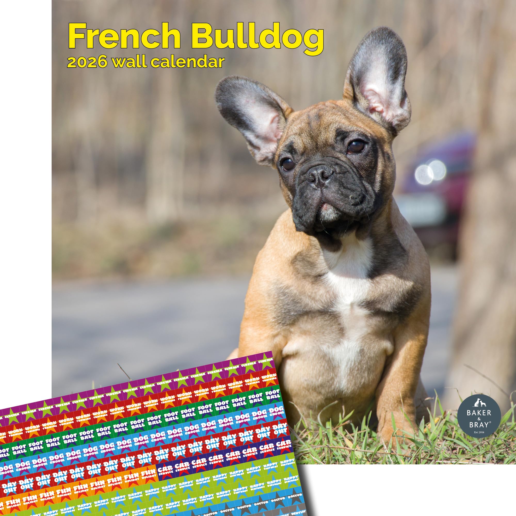Baker and Bray French Bulldog Calendar 2025, Large Square Wall Calendar, 16 Month, French Bulldog Gift Dog Calendar