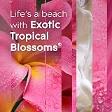 Glade Touch & Fresh Holder and Refill Tropical Blossoms 1 Starter Kit view 2