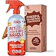 Sunny & Honey Pet Stain & Odor Miracle - Enzyme Cleaner for Dog Urine and Cat Pee - Pet Odor Eliminator for Carpet, Mattress, and Furniture (32 Fl Oz (Pack of 1), Fall Spice Scent)