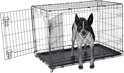 large black dog crate