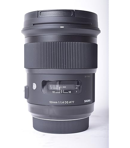 Amazon.com : 50mm F1.4 Art DG HSM for Sony E : Electronics