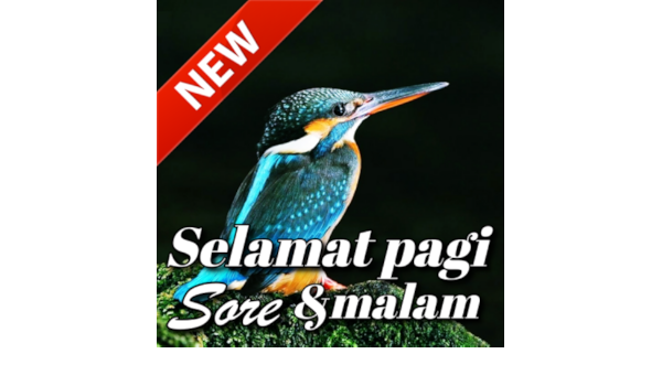 Amazon Com Selamat Pagi Sore Selamat Malam Cinta Appstore For Android