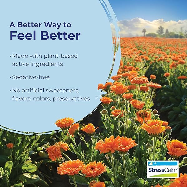 BOIRON STRESSCALM TABLETS FOR RELIEF OF STRESS, ANXIOUSNESS, NERVOUSNESS, IRRITABILITY, AND FATIGUE – 60 COUNT