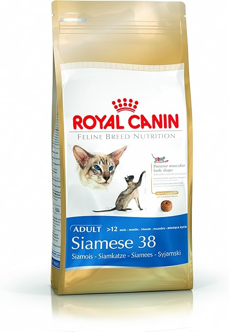 siamese cat diet