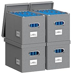DYWMM Hanging File Box with Lid, Set of 4 Filing