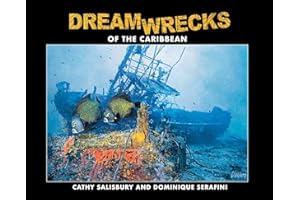 DreamWrecks of the Caribbean: Diving the best shipwrecks of the region