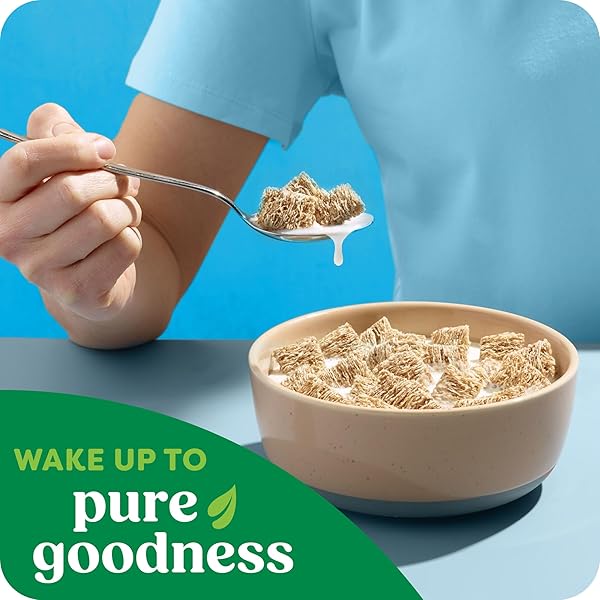 KASHI BREAKFAST CEREAL, ORGANIC, FIBER CEREAL, ISLAND VANILLA, 18OZ BOX (1 BOX)