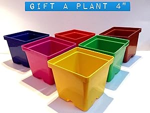 Malhotra Plastic 110022 Plastic Gift Pot Set (Multicolored, 8-Pieces)