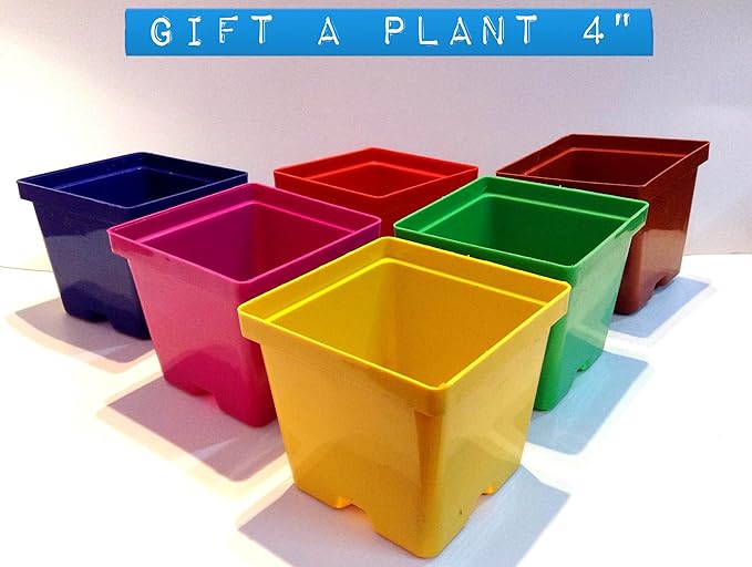 Malhotra Plastic 110022 Plastic Gift Pot Set (Multicolored, 8-Pieces)