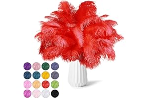 NEWONG 30pcs Red Ostrich Feathers Natural Bulk 9-12inch(23-30cm) Vase Craft Wedding Home Party Centerpieces Christmas Day Decoration