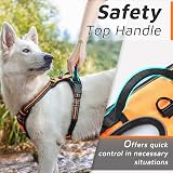 Eagloo Dog Harness Large No Pull Front Back Clips Reflective Orange L view 5