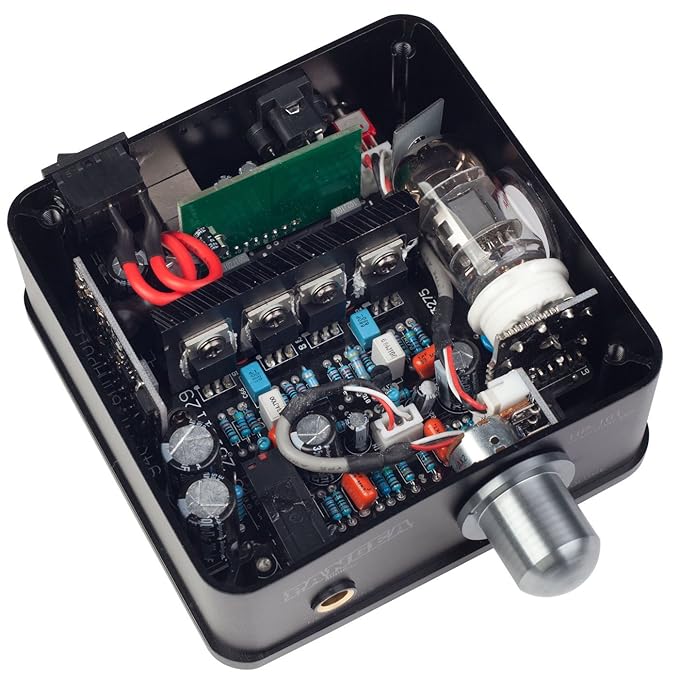 Darkvoice 336se vs bottlehead crack