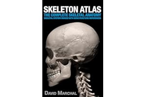 Skeleton Atlas: The complete Skeletal Anatomy: Skeletal System images with Bone Fracture references