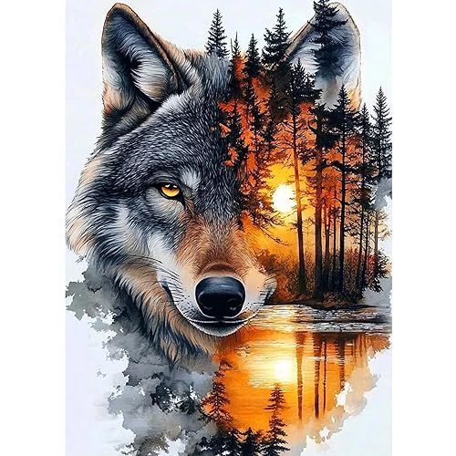 CEOVR Diamond Art Kit,Diamond Painting Kits Adults,5D DIY Gem Art Set,30x40 cm (Black White Orange)