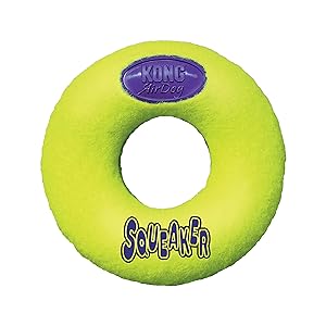 KONG Air Dog Squeaker Dog Toy