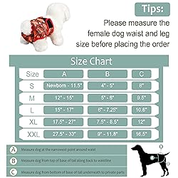 Female Dog Diapers - Premium Reusable Diapers for