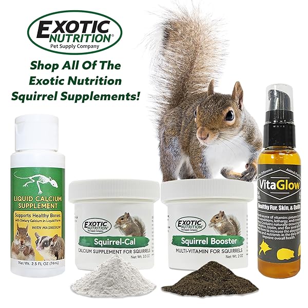 SQUIRREL-CAL 3.5 OZ. – ULTRA-FINE POWDERED CALCIUM SUPPLEMENT – FOR PET SQUIRRELS