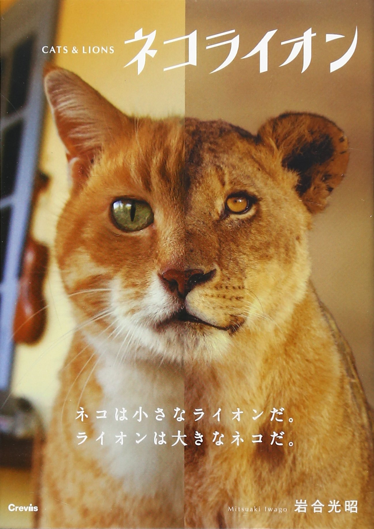 ネコライオン 写真文庫 Amazon Com Books