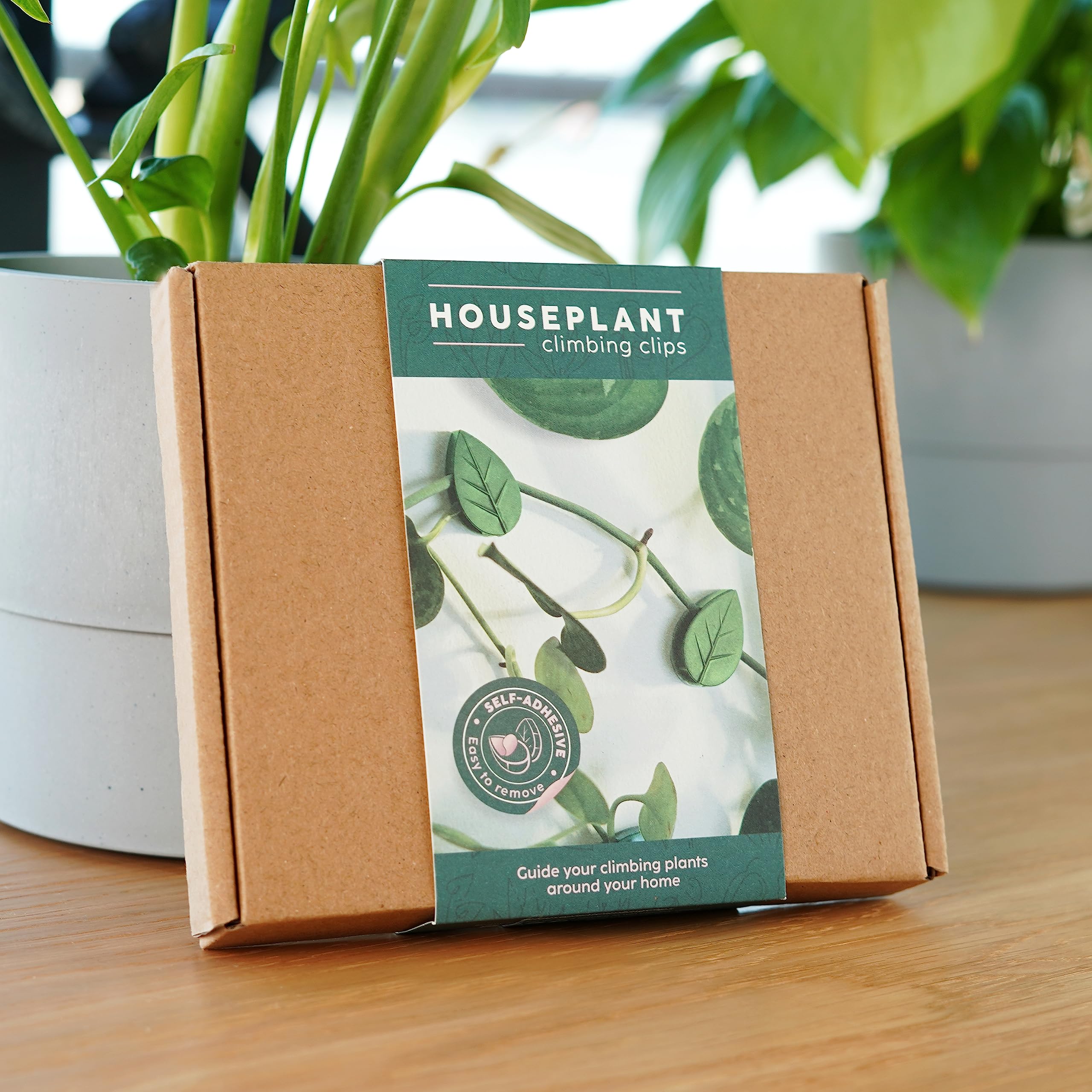 Bubblegum Stuff - Houseplant Climbing Clips - Garden Tools, Home Accessories, Garden Gadgets, Indoor Gardening, Indoor Plant - Reusable Climbing Clips — image 1