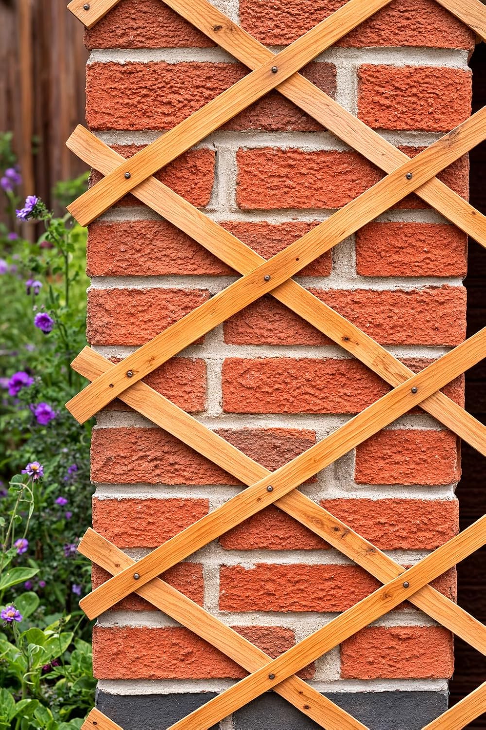 Kanta 2x Large Expanding Wooden Trellis 6Ft x 2Ft Garden Fence