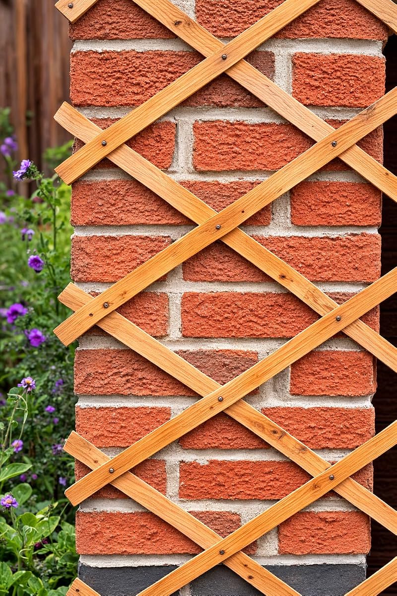 Kanta 2x Large Expanding Wooden Trellis 6Ft x 2Ft Garden Fence